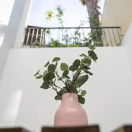 Taipas Cozy Apartment